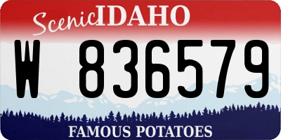 ID license plate W836579