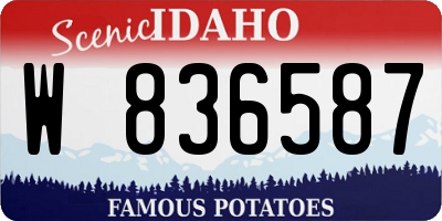 ID license plate W836587
