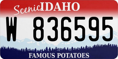 ID license plate W836595