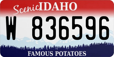 ID license plate W836596