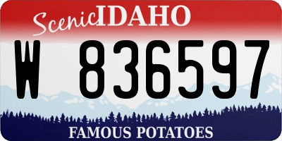 ID license plate W836597
