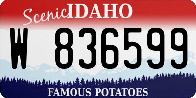 ID license plate W836599