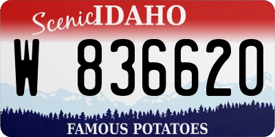 ID license plate W836620