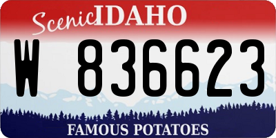 ID license plate W836623