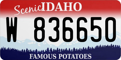 ID license plate W836650