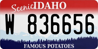 ID license plate W836656