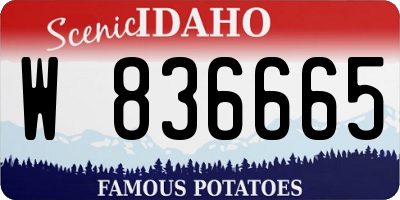 ID license plate W836665