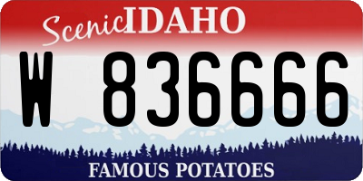 ID license plate W836666