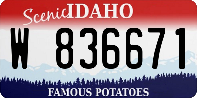 ID license plate W836671