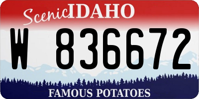 ID license plate W836672