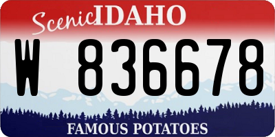 ID license plate W836678
