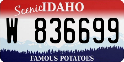 ID license plate W836699