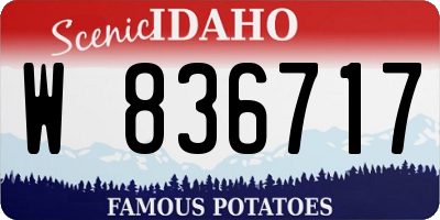 ID license plate W836717