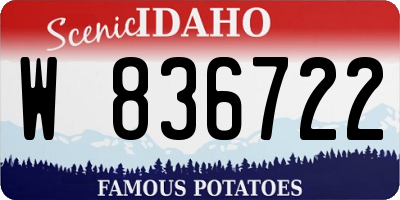 ID license plate W836722