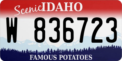 ID license plate W836723