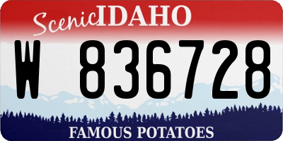 ID license plate W836728