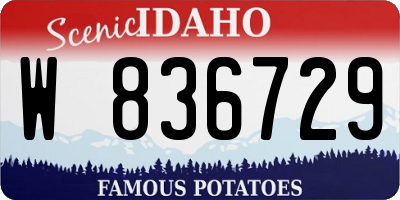 ID license plate W836729