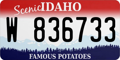 ID license plate W836733