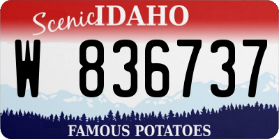ID license plate W836737