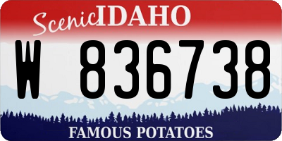 ID license plate W836738