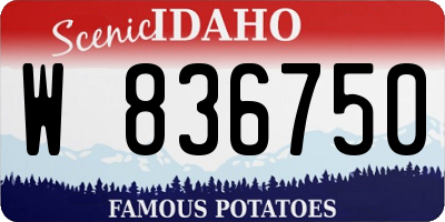 ID license plate W836750