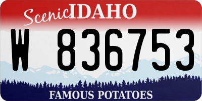 ID license plate W836753