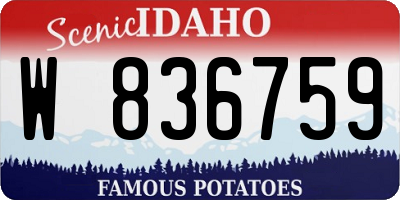 ID license plate W836759