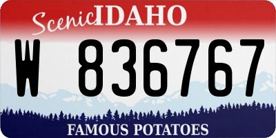 ID license plate W836767