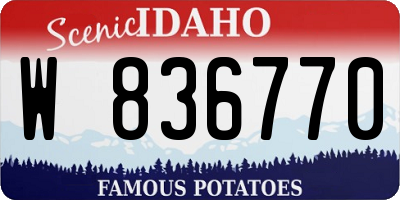 ID license plate W836770