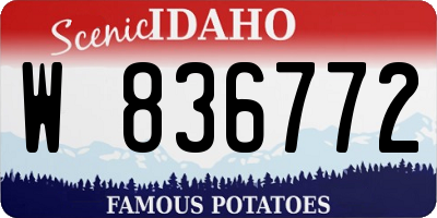 ID license plate W836772