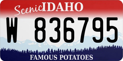 ID license plate W836795