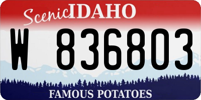 ID license plate W836803