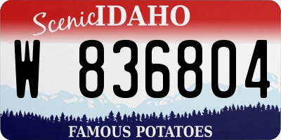 ID license plate W836804