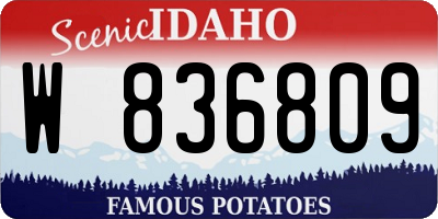 ID license plate W836809