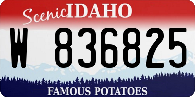 ID license plate W836825