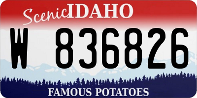 ID license plate W836826