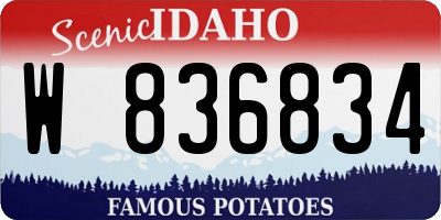 ID license plate W836834