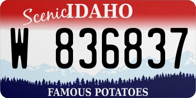 ID license plate W836837