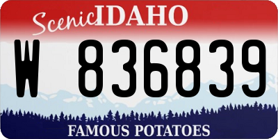 ID license plate W836839