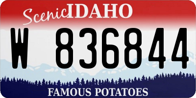 ID license plate W836844