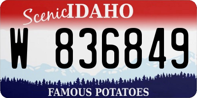 ID license plate W836849