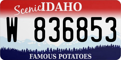 ID license plate W836853
