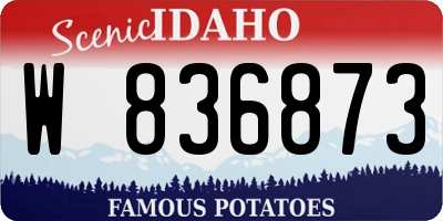 ID license plate W836873