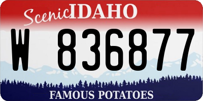 ID license plate W836877