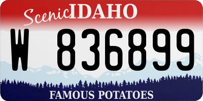 ID license plate W836899