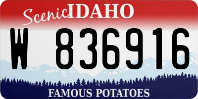 ID license plate W836916
