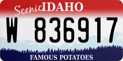 ID license plate W836917