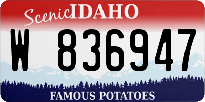 ID license plate W836947