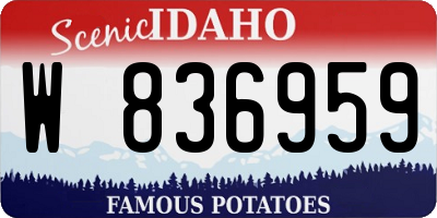 ID license plate W836959