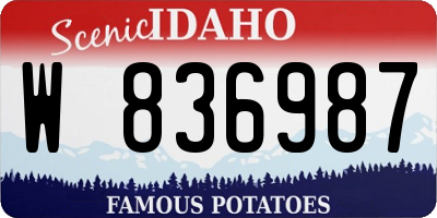 ID license plate W836987